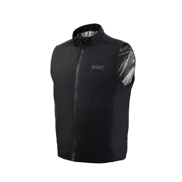 53e110e621a86afa7a74c37699b55deb