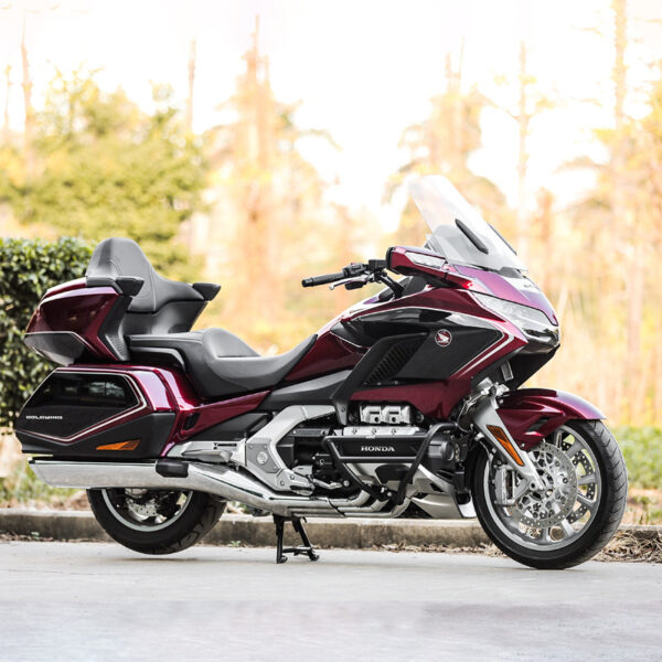 LOBOO Gmole do HONDA GL1800 srebrne