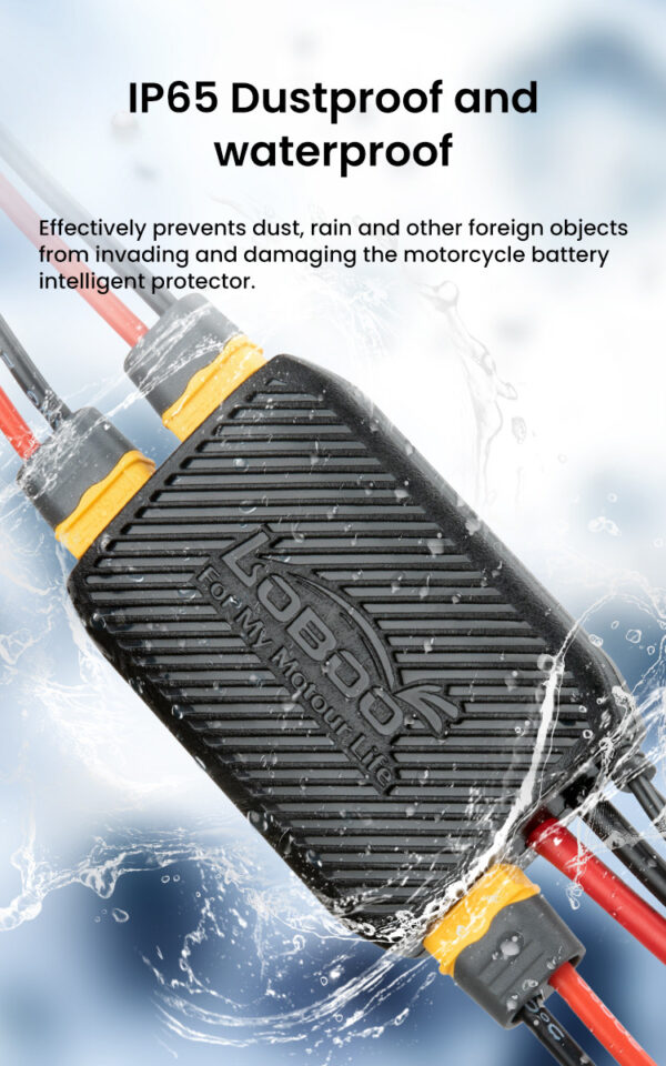 LOBOO Electronic Manager, inteligentny rozdzielacz zasilania, moc wyjsciowa 480W (suma na 3 urządzenia), wodoodporny, ochrona pr