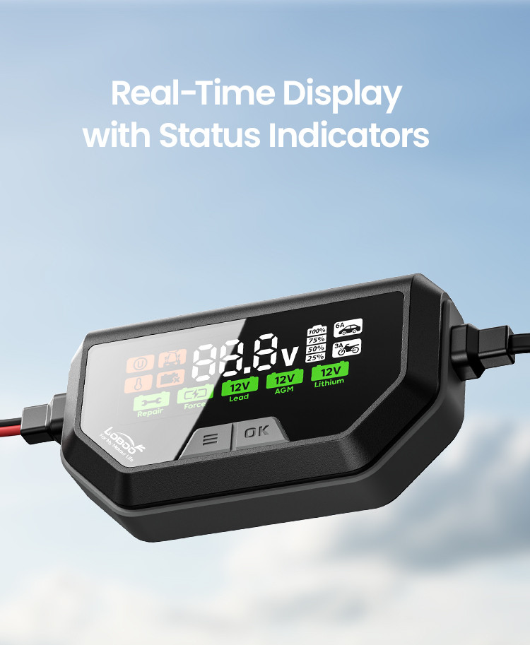 LOBOO Ładowarka motocyklowa z funkcją konserwacji 6A, do akumulatorów kwasowych, żelowych, litowych