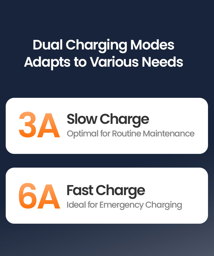 LOBOO Ładowarka motocyklowa z funkcją konserwacji 6A, do akumulatorów kwasowych, żelowych, litowych