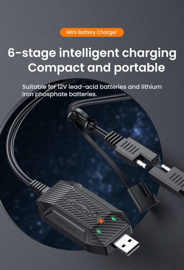 LOBOO Inteligenta Mini ładowarka do akumulatorów 12V (kwasowe, żelowe, litowe), USB