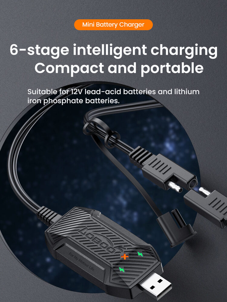 LOBOO Inteligenta Mini ładowarka do akumulatorów 12V (kwasowe, żelowe, litowe), USB