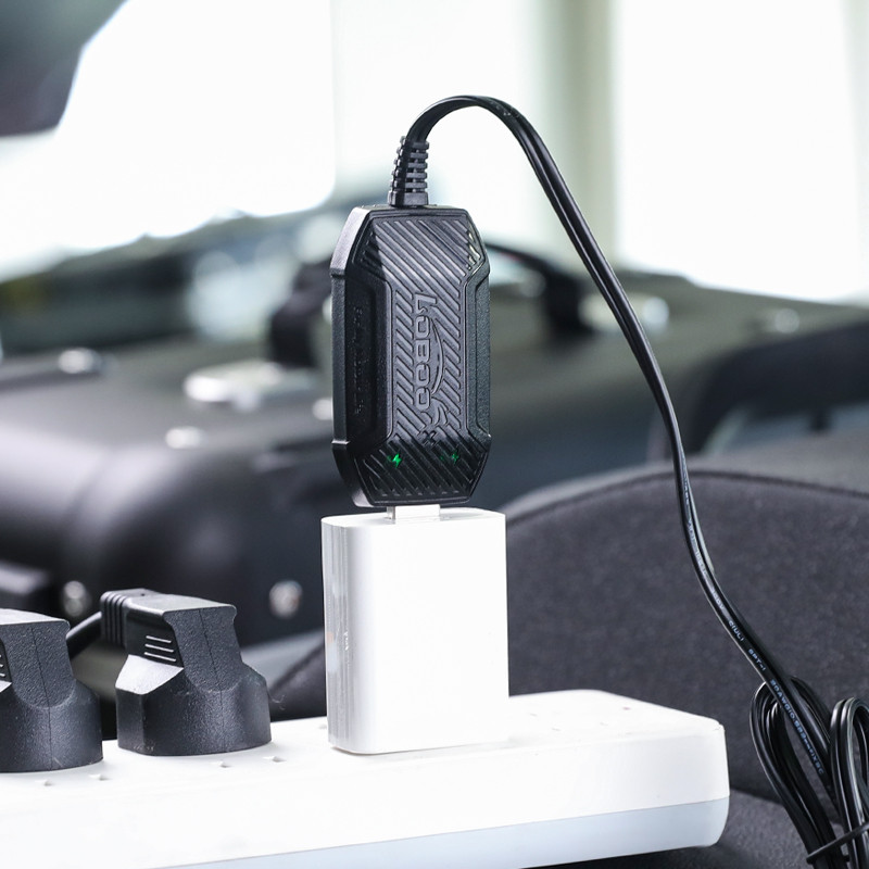 LOBOO Inteligenta Mini ładowarka do akumulatorów 12V (kwasowe, żelowe, litowe), USB