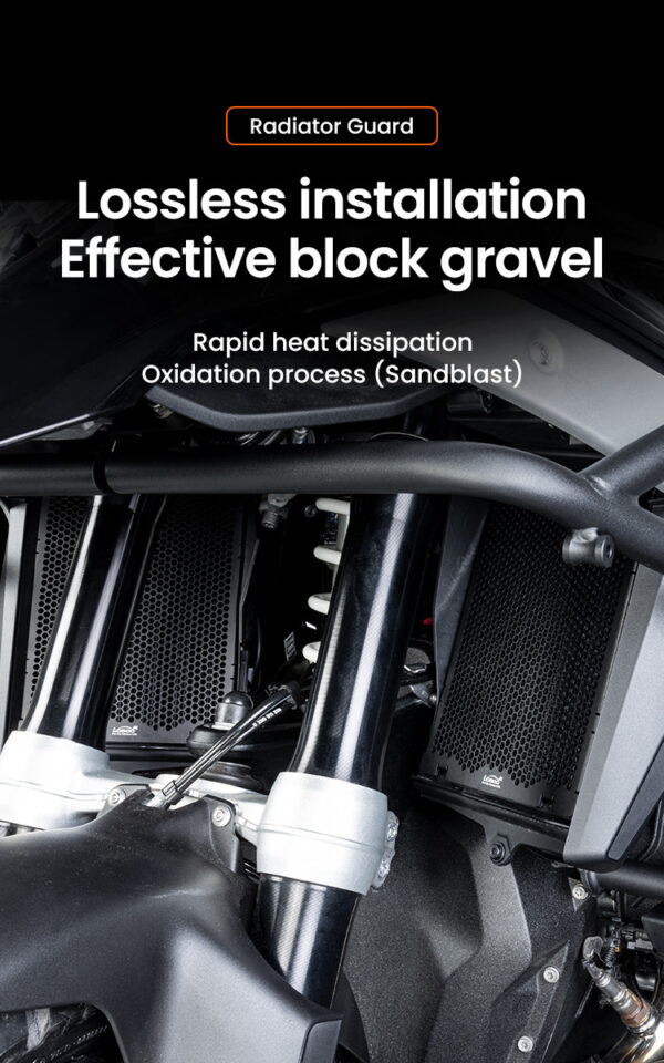 LOBOO Osłona chłodnicy aluminiowa do BMW R1300GS