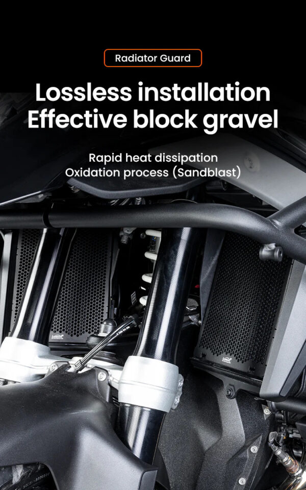 LOBOO Osłona chłodnicy aluminiowa do BMW R1300GS