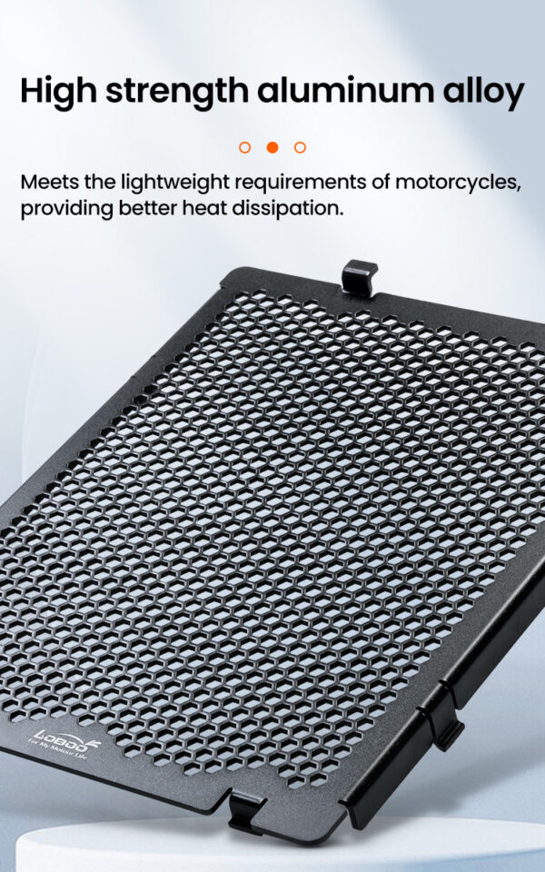 LOBOO Osłona chłodnicy aluminiowa do BMW R1300GS