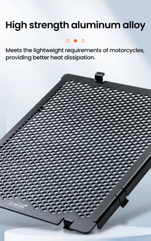 LOBOO Osłona chłodnicy aluminiowa do BMW R1300GS