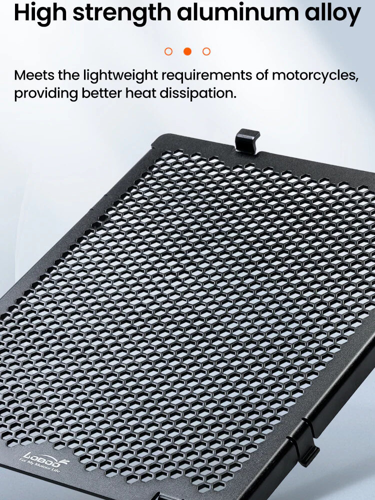 LOBOO Osłona chłodnicy aluminiowa do BMW R1300GS