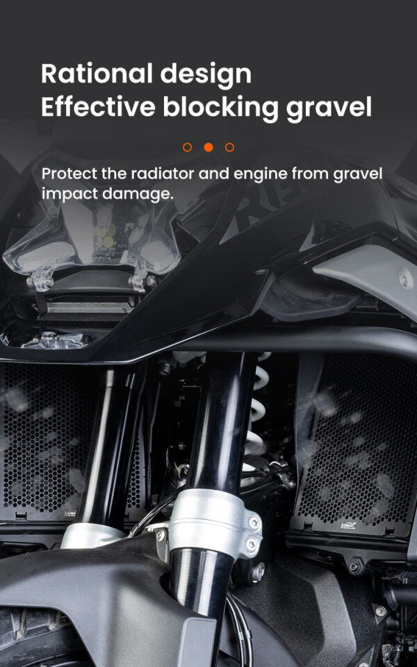 LOBOO Osłona chłodnicy aluminiowa do BMW R1300GS