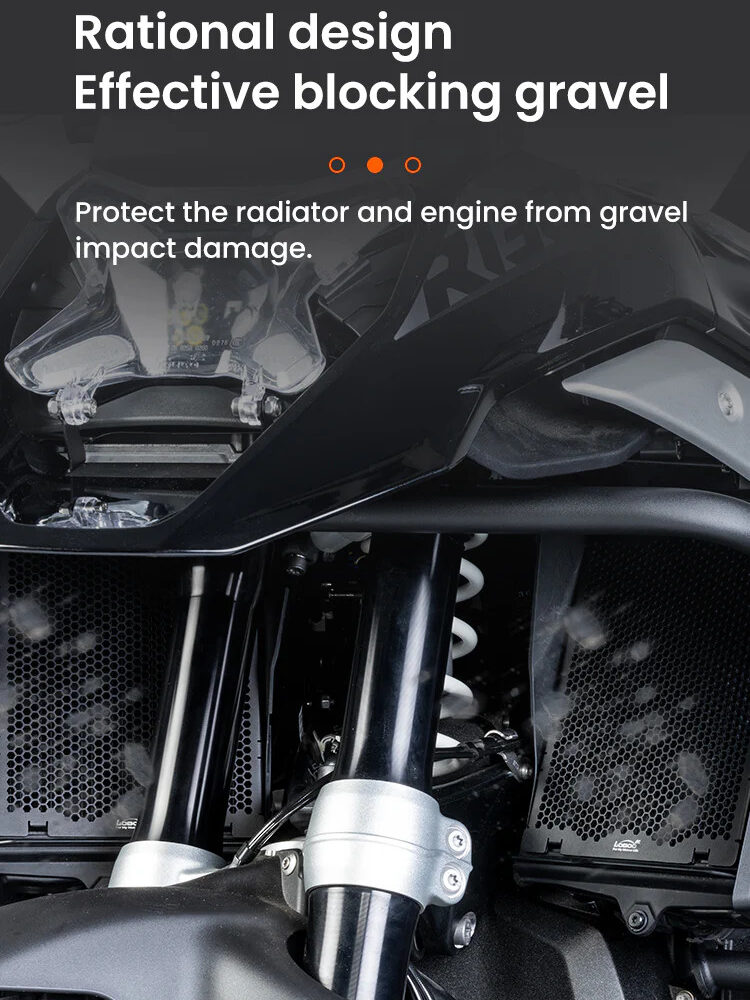 LOBOO Osłona chłodnicy aluminiowa do BMW R1300GS