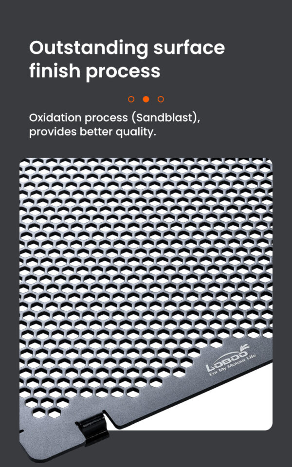 LOBOO Osłona chłodnicy aluminiowa do BMW R1300GS