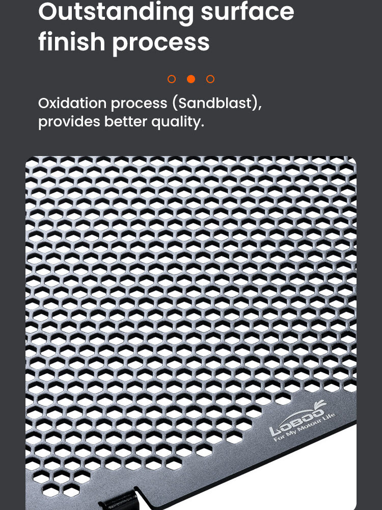 LOBOO Osłona chłodnicy aluminiowa do BMW R1300GS