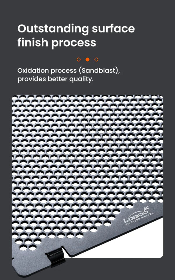 LOBOO Osłona chłodnicy aluminiowa do BMW R1300GS