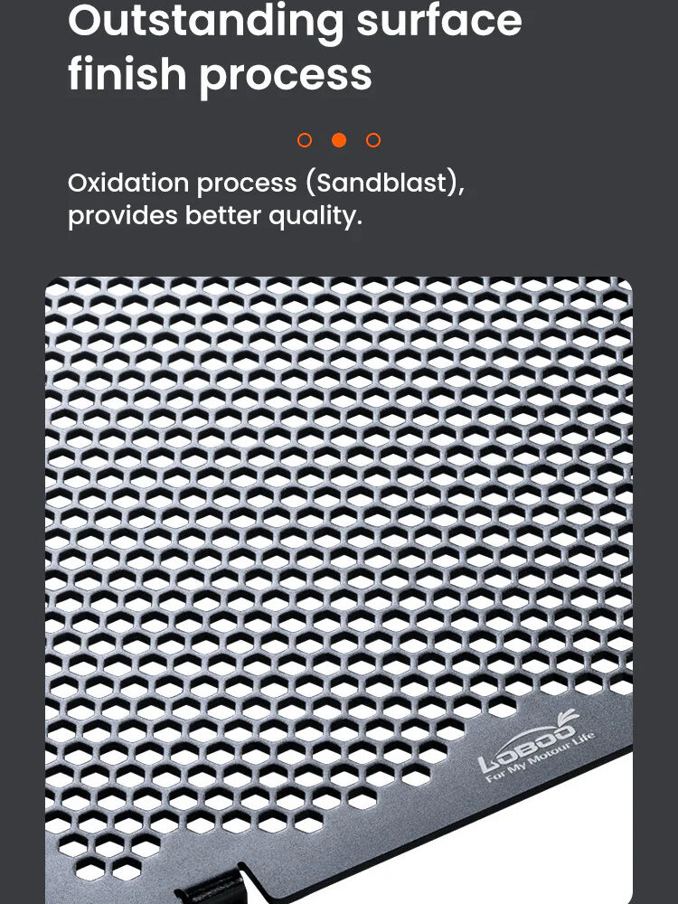 LOBOO Osłona chłodnicy aluminiowa do BMW R1300GS