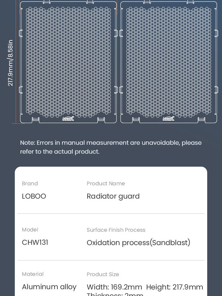 LOBOO Osłona chłodnicy aluminiowa do BMW R1300GS