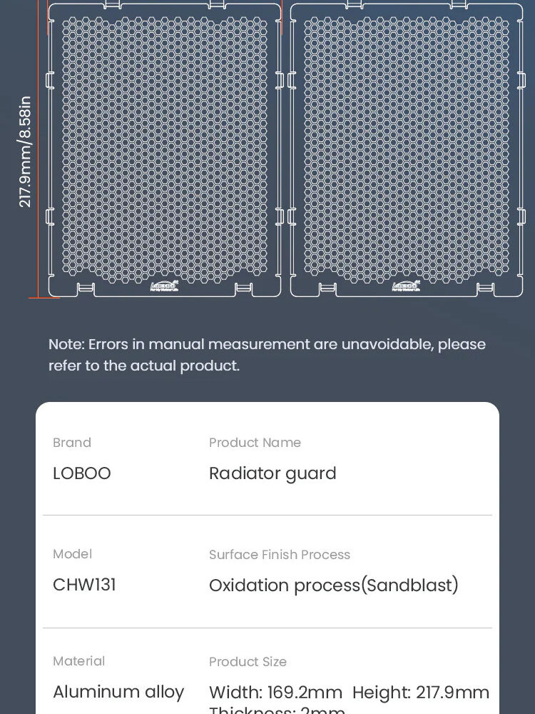 LOBOO Osłona chłodnicy aluminiowa do BMW R1300GS