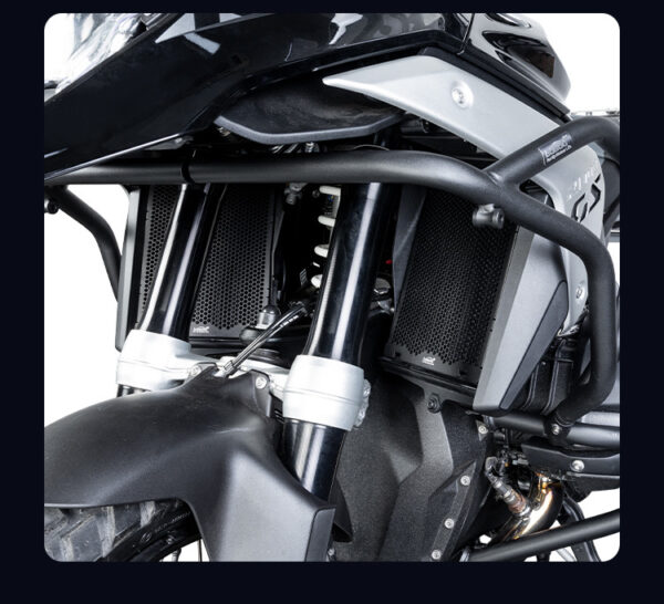 LOBOO Osłona chłodnicy aluminiowa do BMW R1300GS