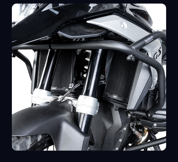 LOBOO Osłona chłodnicy aluminiowa do BMW R1300GS