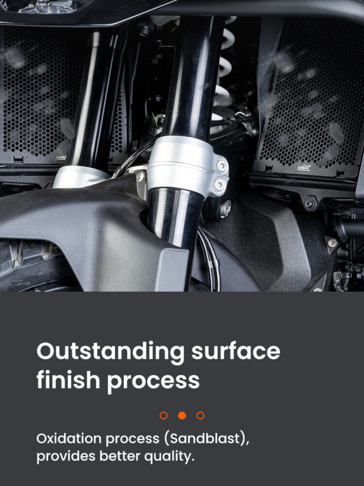 LOBOO Osłona chłodnicy aluminiowa do BMW R1300GS