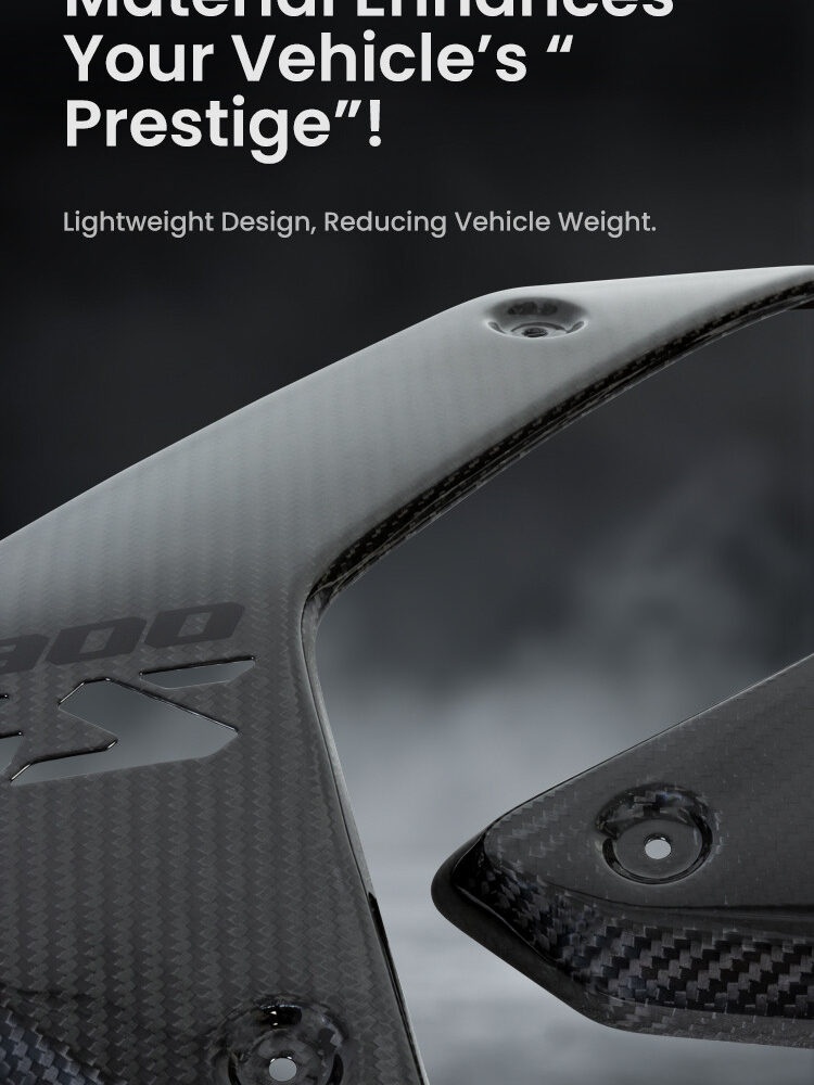 LOBOO Panel chłodnicy z włókna węglowego (czarny mat) do BMW R1300GS (2023-)