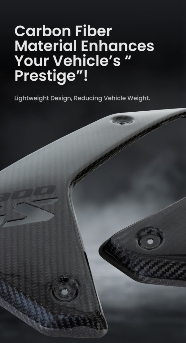 LOBOO Panel chłodnicy z włókna węglowego (czarny połysk) do BMW R1300GS (2023-)