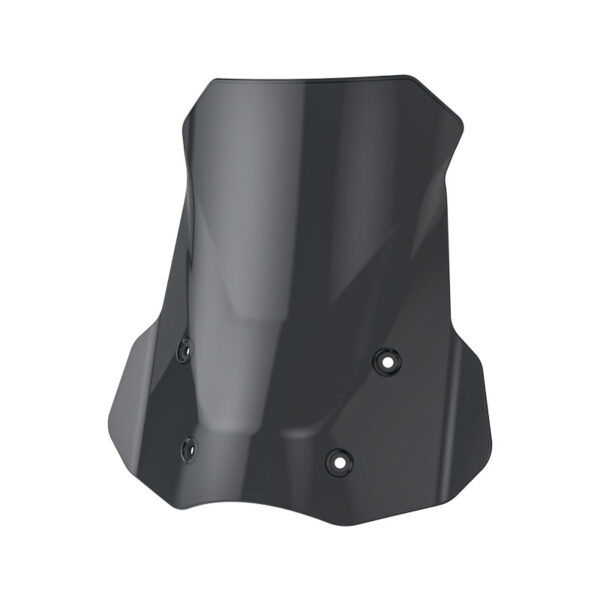 LOBOO osłona reflektora motocykla czarna do BMW R1300 GS (2024-) R 1300 GS Adventure (2024-)